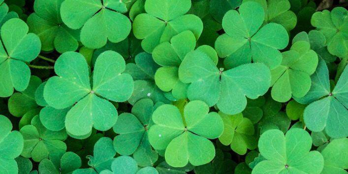 3 Proven Ways to Make Your Own Luck | Dr. Trish Leigh